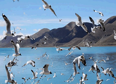 Beautiful lake of Tibet