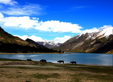 Tibet tour