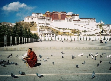 Lhasa Lhasa