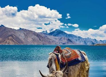 Nepal Bhutan Tibet Tour Nepal Bhutan Tibet Tour