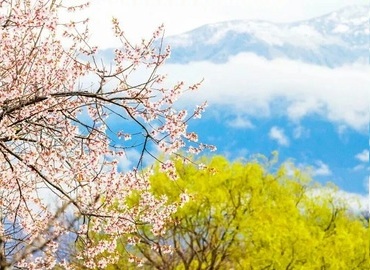 Tibet
