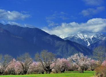 Nyingchi is also been called Switzerland in Eastern. Nyingchi is also been called Switzerland in Eastern.